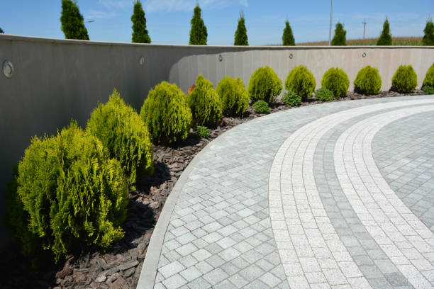 Best Driveway Paving Contractor  in Elmsford, NY